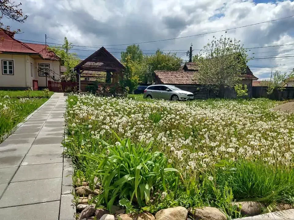 Mereni Cazare | Motel (K1201-38) Imaginea poate fi supusă drepturilor de autor. Se recomandă contactarea titularului drepturilor.