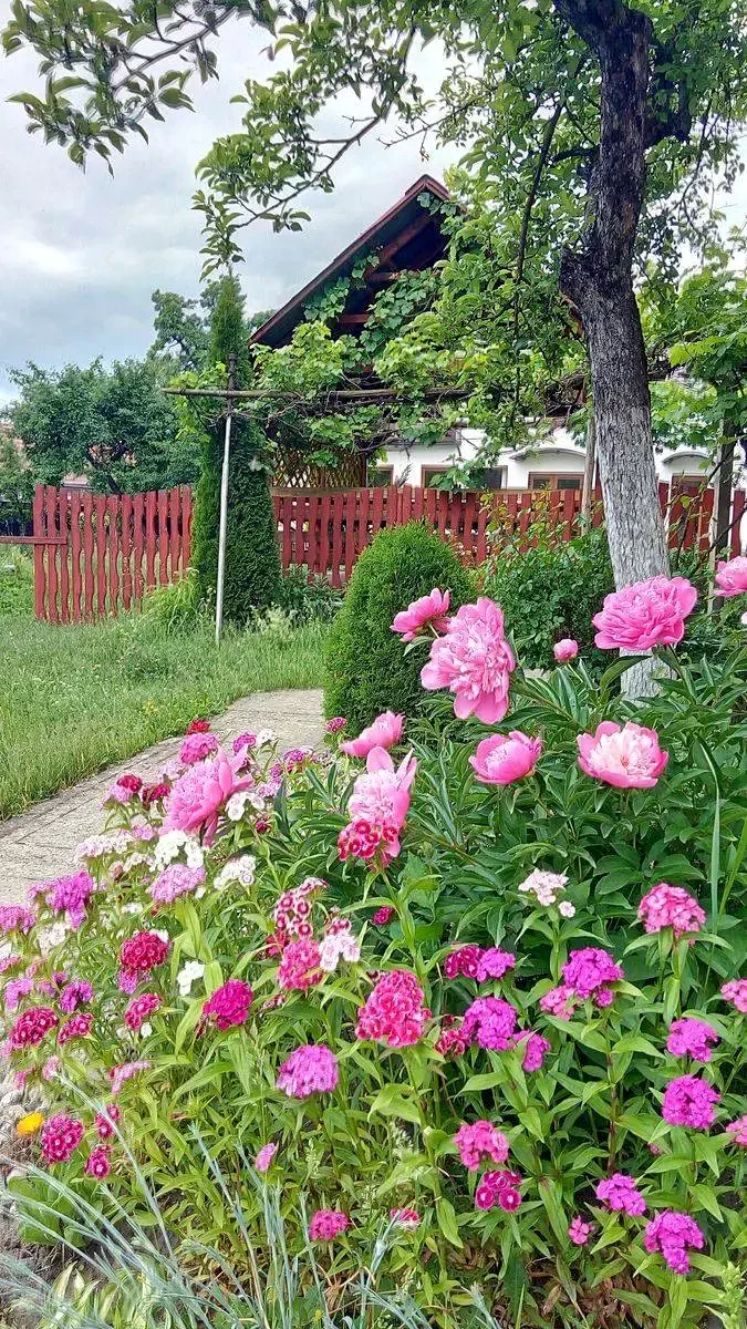 Kézdialmás Szállás | Motel (K1201-40) A kép szerzői jogvédelem alatt állhat. Javasolt a kapcsolatfelvétel a jog tulajdonossal.