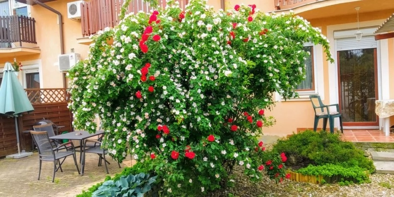 Jula Cazare | Motel (K0787-22) Imaginea poate fi supusă drepturilor de autor. Se recomandă contactarea titularului drepturilor.