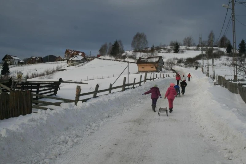 Törcsvár Szállás | Motel (K1572-32) A kép szerzői jogvédelem alatt állhat. Javasolt a kapcsolatfelvétel a jog tulajdonossal.