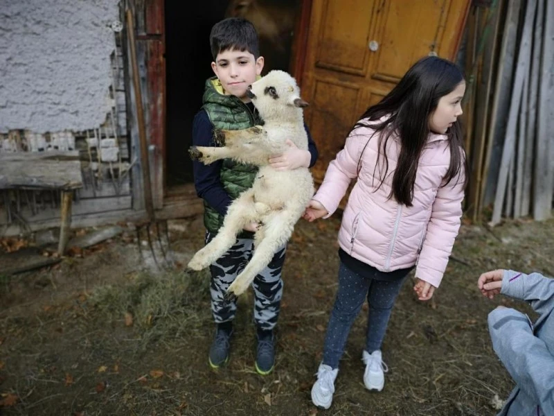 Bran Cazare | Pensiune (K1572-42) Imaginea poate fi supusă drepturilor de autor. Se recomandă contactarea titularului drepturilor. Bran Cazare | Pensiune (K1572-42) Imaginea poate fi supusă drepturilor de autor. Se recomandă contactarea titularului drepturilor.