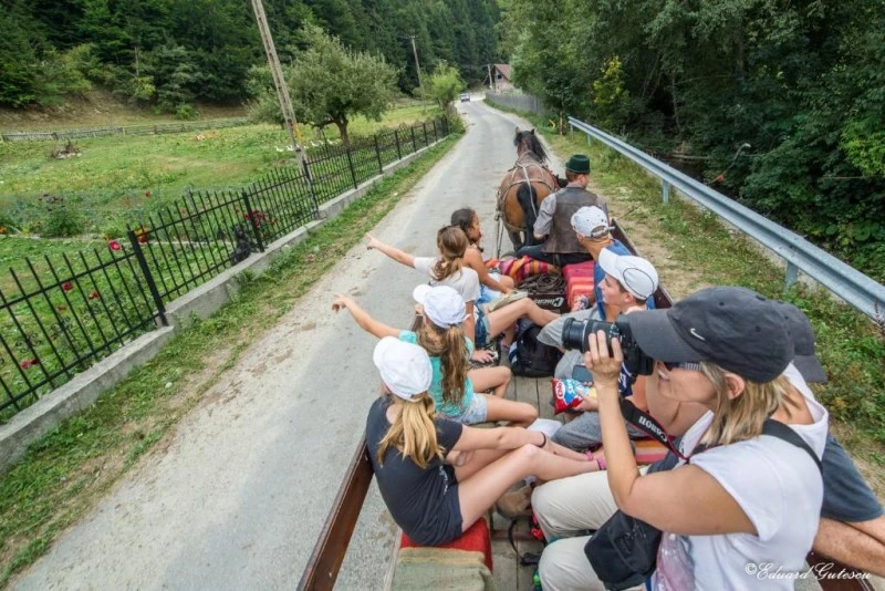 Törcsvár Szállás | Motel (K1572-45) A kép szerzői jogvédelem alatt állhat. Javasolt a kapcsolatfelvétel a jog tulajdonossal.