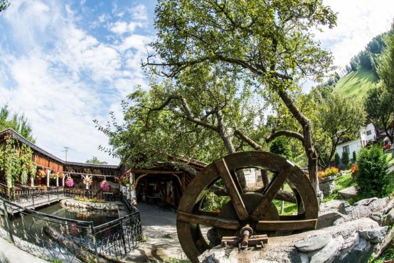 Bran Cazare | Motel (K1572-63) Imaginea poate fi supusă drepturilor de autor. Se recomandă contactarea titularului drepturilor.