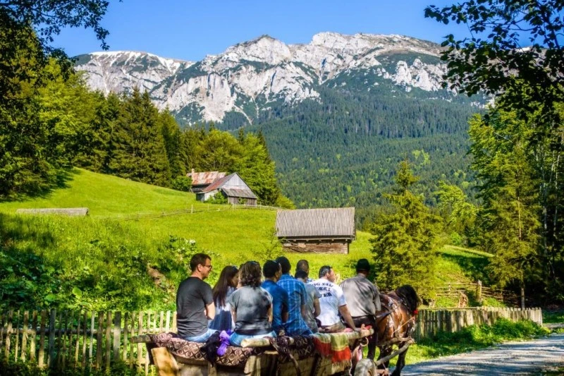 Törcsvár Szállás | Motel (K1572-67) A kép szerzői jogvédelem alatt állhat. Javasolt a kapcsolatfelvétel a jog tulajdonossal.