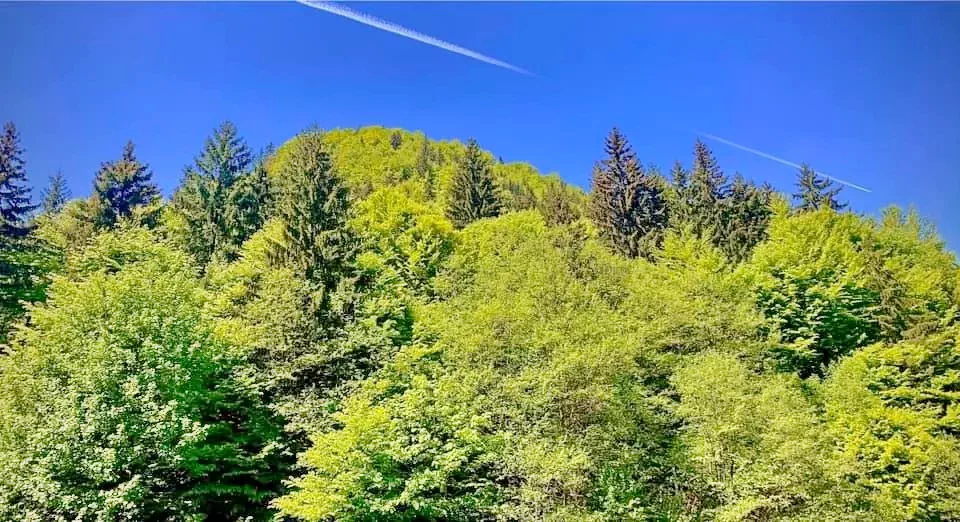 Moieciu de Sus Cazare | Motel (K1375-45) Imaginea poate fi supusă drepturilor de autor. Se recomandă contactarea titularului drepturilor.