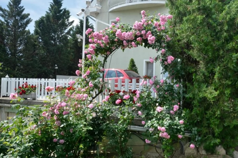 Budapest Szállás | Motel (K0381-3) A kép szerzői jogvédelem alatt állhat. Javasolt a kapcsolatfelvétel a jog tulajdonossal.