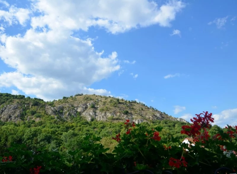 Budapesta Cazare | Motel (K0381-12) Imaginea poate fi supusă drepturilor de autor. Se recomandă contactarea titularului drepturilor.