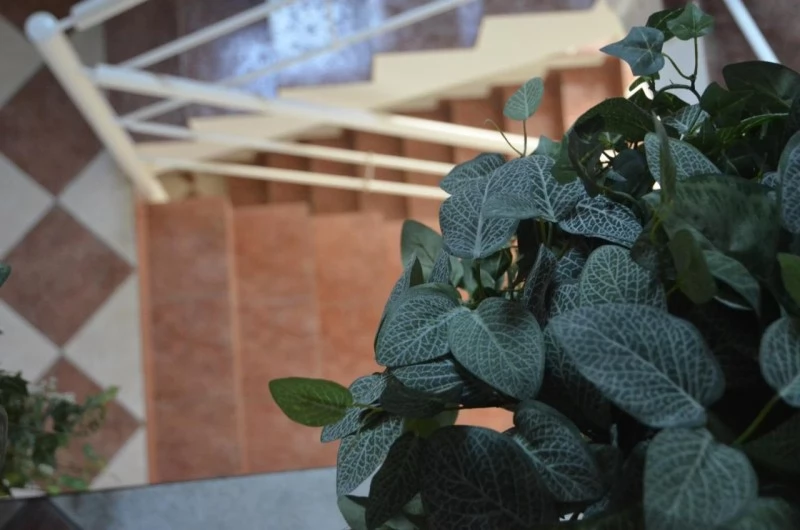 Budapest Szállás | Motel (K0381-23) A kép szerzői jogvédelem alatt állhat. Javasolt a kapcsolatfelvétel a jog tulajdonossal.