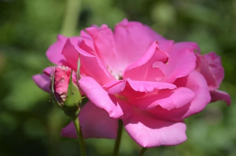 Budapest Szállás | Motel (K0381-25) A kép szerzői jogvédelem alatt állhat. Javasolt a kapcsolatfelvétel a jog tulajdonossal.