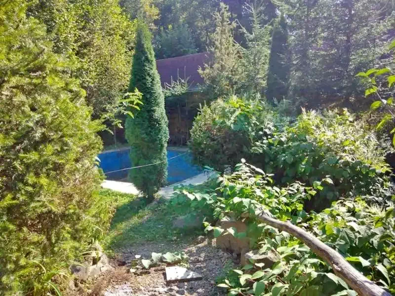 Băile Homorod Cazare | Casă de oaspeți (K0209-17) Imaginea poate fi supusă drepturilor de autor. Se recomandă contactarea titularului drepturilor.