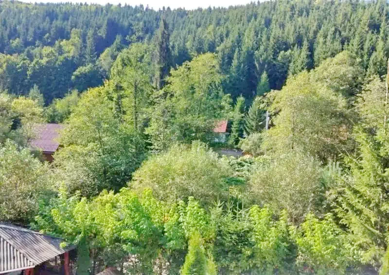 Băile Homorod Cazare | Casă de oaspeți (K0209-28) Imaginea poate fi supusă drepturilor de autor. Se recomandă contactarea titularului drepturilor.