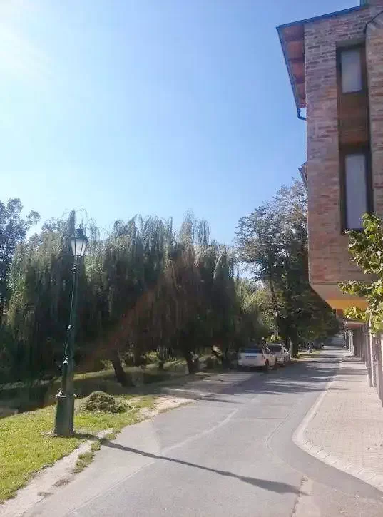 Gyula Szállás | Apartmanház (K0135-23) A kép szerzői jogvédelem alatt állhat. Javasolt a kapcsolatfelvétel a jog tulajdonossal. Gyula Szállás | Apartmanház (K0135-23) A kép szerzői jogvédelem alatt állhat. Javasolt a kapcsolatfelvétel a jog tulajdonossal.