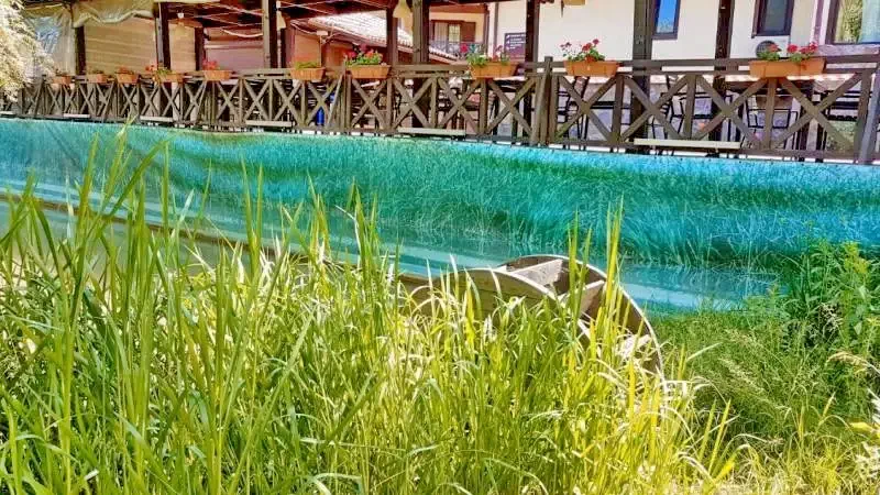 Timișu de Jos Cazare | Pensiune turistică (K1276-43) Imaginea poate fi supusă drepturilor de autor. Se recomandă contactarea titularului drepturilor.