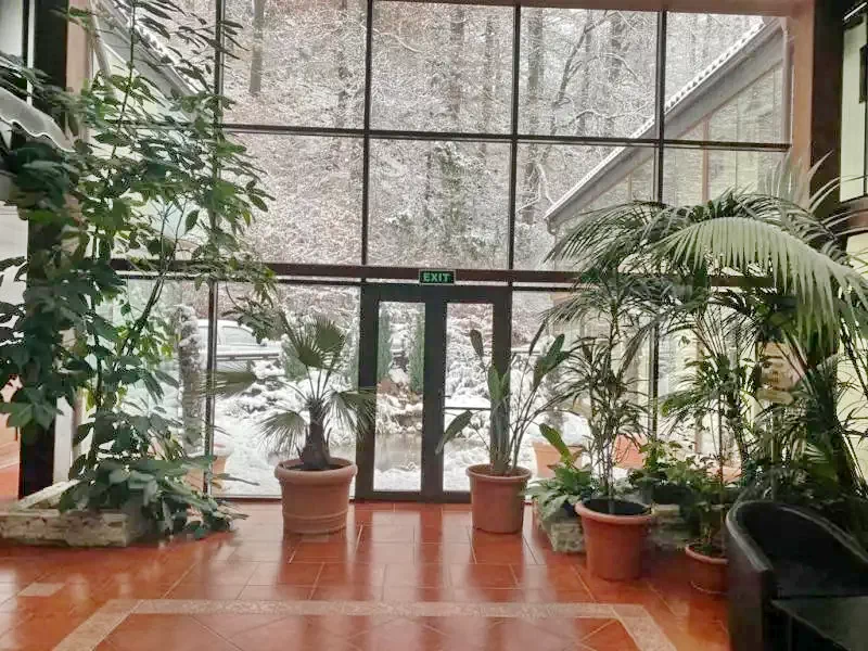 Timișu de Jos Cazare | Pensiune turistică (K1276-54) Imaginea poate fi supusă drepturilor de autor. Se recomandă contactarea titularului drepturilor.