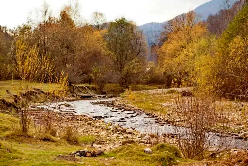 Alsótömös Szállás | Hotel*** (K1276-58) A kép szerzői jogvédelem alatt állhat. Javasolt a kapcsolatfelvétel a jog tulajdonossal. Alsótömös Szállás | Hotel*** (K1276-58) A kép szerzői jogvédelem alatt állhat. Javasolt a kapcsolatfelvétel a jog tulajdonossal.
