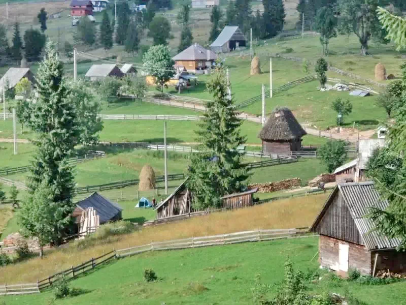 Scărișoara Cazare | Motel (K1144-13) Imaginea poate fi supusă drepturilor de autor. Se recomandă contactarea titularului drepturilor.