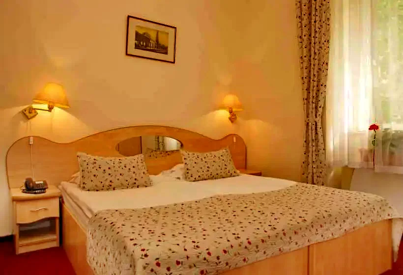Băile Herculane Cazare | Hotel*** (K0867-19) Imaginea poate fi supusă drepturilor de autor. Se recomandă contactarea titularului drepturilor.