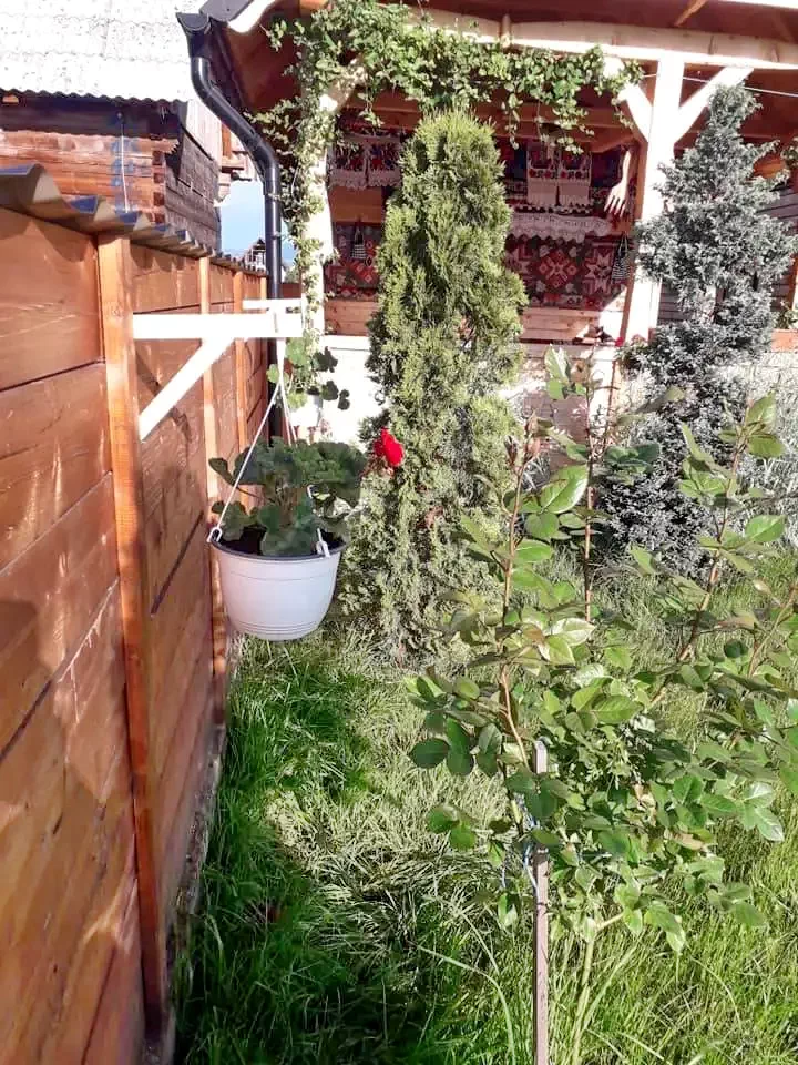 Aknasúgatag Szállás | Motel (K1244-57) A kép szerzői jogvédelem alatt állhat. Javasolt a kapcsolatfelvétel a jog tulajdonossal.