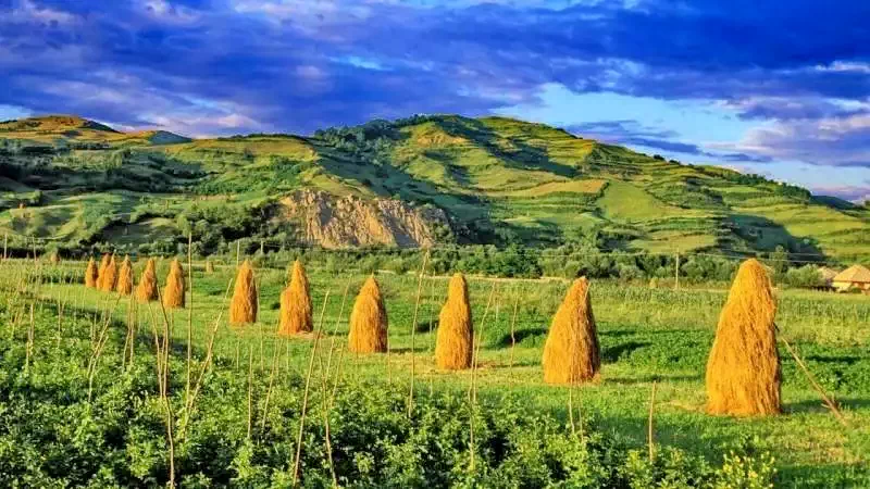 Ocna Șugatag Cazare | Motel (K1244-63) Imaginea poate fi supusă drepturilor de autor. Se recomandă contactarea titularului drepturilor.