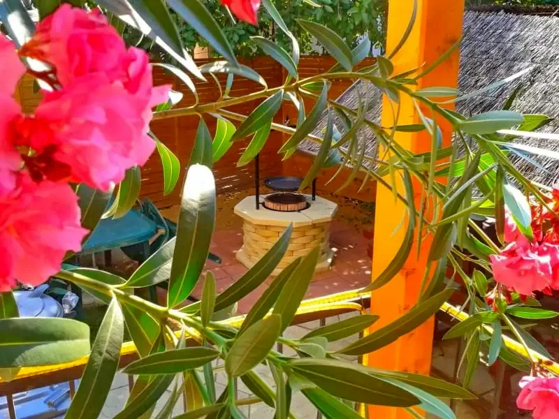 Hajdúszoboszló Szállás | Üdülőfalu (K0201-2) A kép szerzői jogvédelem alatt állhat. Javasolt a kapcsolatfelvétel a jog tulajdonossal.