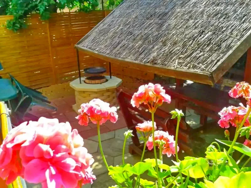  Cazare | Sat de vacanță (K0201-3) Imaginea poate fi supusă drepturilor de autor. Se recomandă contactarea titularului drepturilor.