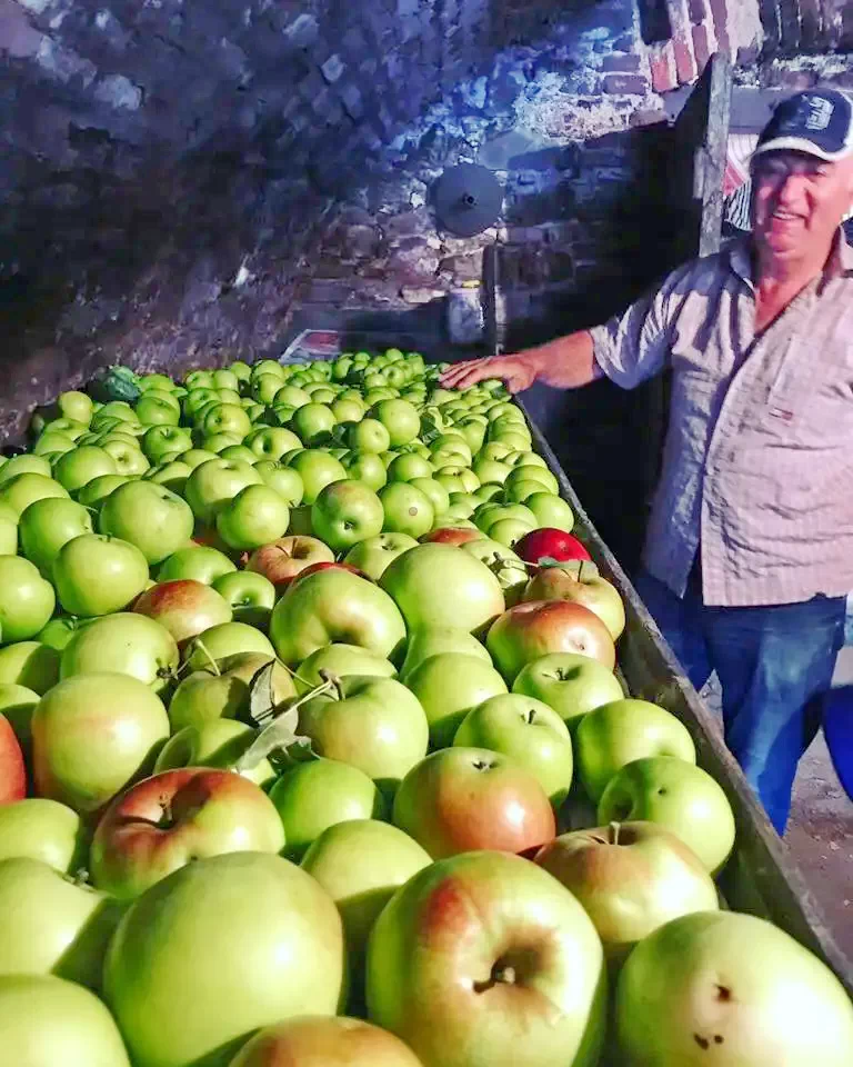 Resinár Szállás | Motel (K1371-32) A kép szerzői jogvédelem alatt állhat. Javasolt a kapcsolatfelvétel a jog tulajdonossal.