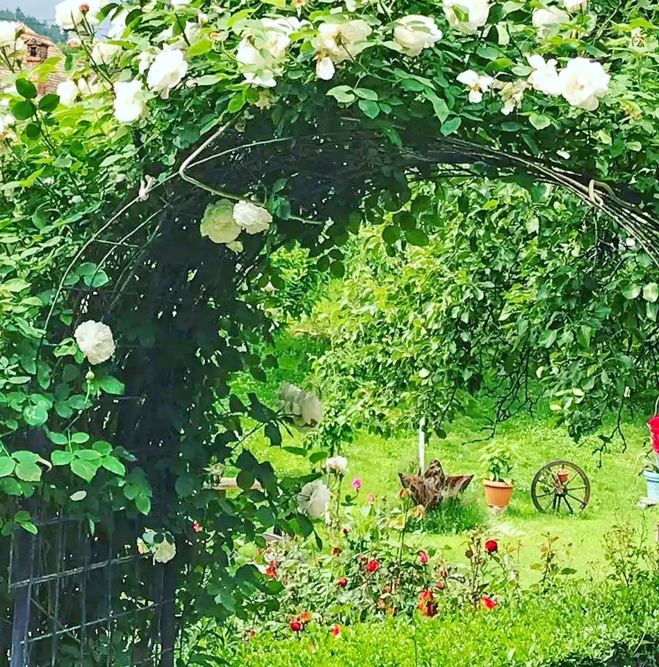 Resinár Szállás | Motel (K1371-35) A kép szerzői jogvédelem alatt állhat. Javasolt a kapcsolatfelvétel a jog tulajdonossal.