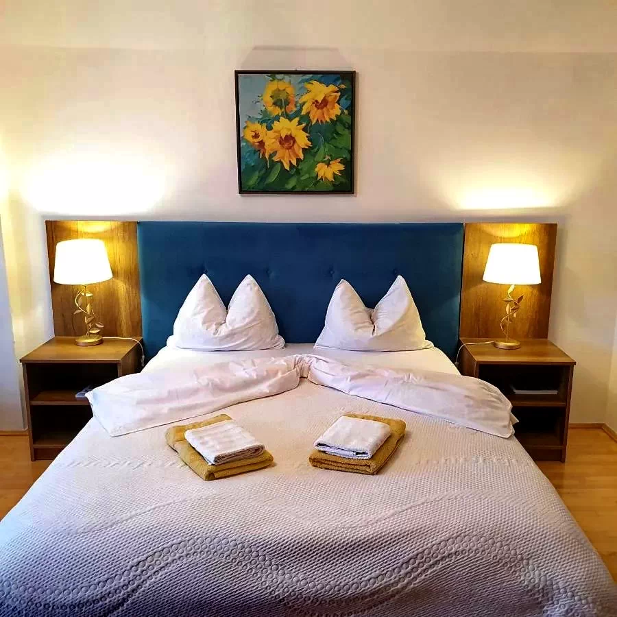 Oradea Cazare | Hotel**** (K0686-7) Imaginea poate fi supusă drepturilor de autor. Se recomandă contactarea titularului drepturilor.