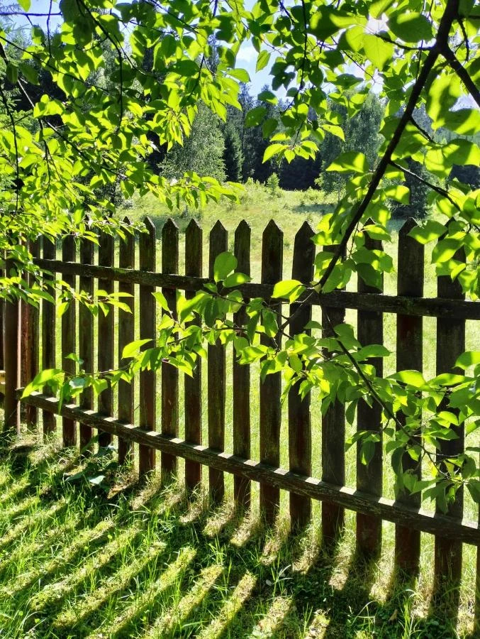 Vama Cazare | Motel (K0077-8) Imaginea poate fi supusă drepturilor de autor. Se recomandă contactarea titularului drepturilor.