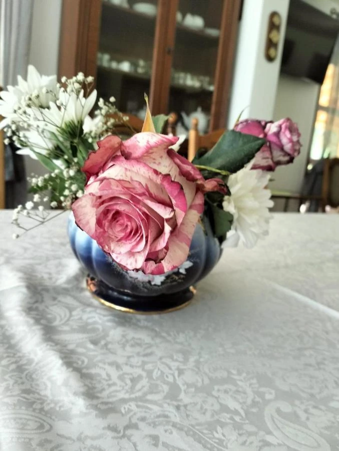 Vama Cazare | Motel (K0077-23) Imaginea poate fi supusă drepturilor de autor. Se recomandă contactarea titularului drepturilor.