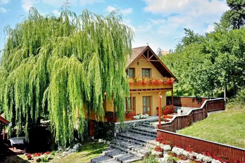 Zetelaka Szállás | Hotel**** (K0531-1) A kép szerzői jogvédelem alatt állhat. Javasolt a kapcsolatfelvétel a jog tulajdonossal.