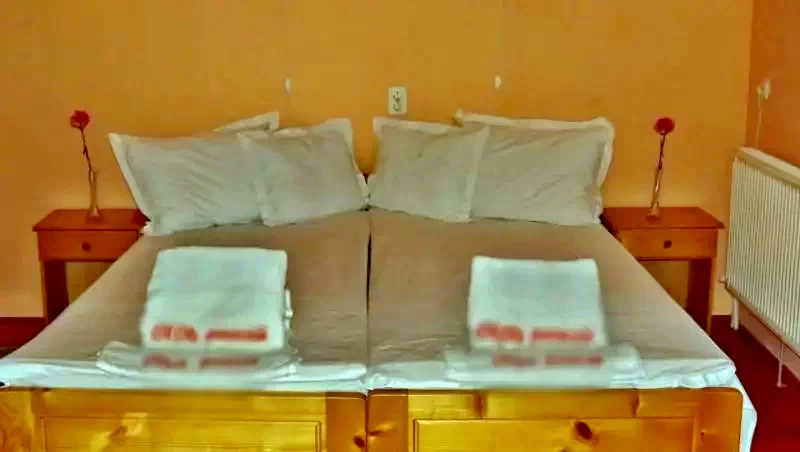 Zetelaka Szállás | Hotel**** (K0531-10) A kép szerzői jogvédelem alatt állhat. Javasolt a kapcsolatfelvétel a jog tulajdonossal.