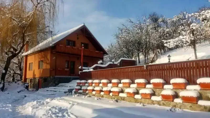 Zetelaka Szállás | Vendégház (K0531-25) A kép szerzői jogvédelem alatt állhat. Javasolt a kapcsolatfelvétel a jog tulajdonossal. Zetelaka Szállás | Vendégház (K0531-25) A kép szerzői jogvédelem alatt állhat. Javasolt a kapcsolatfelvétel a jog tulajdonossal.