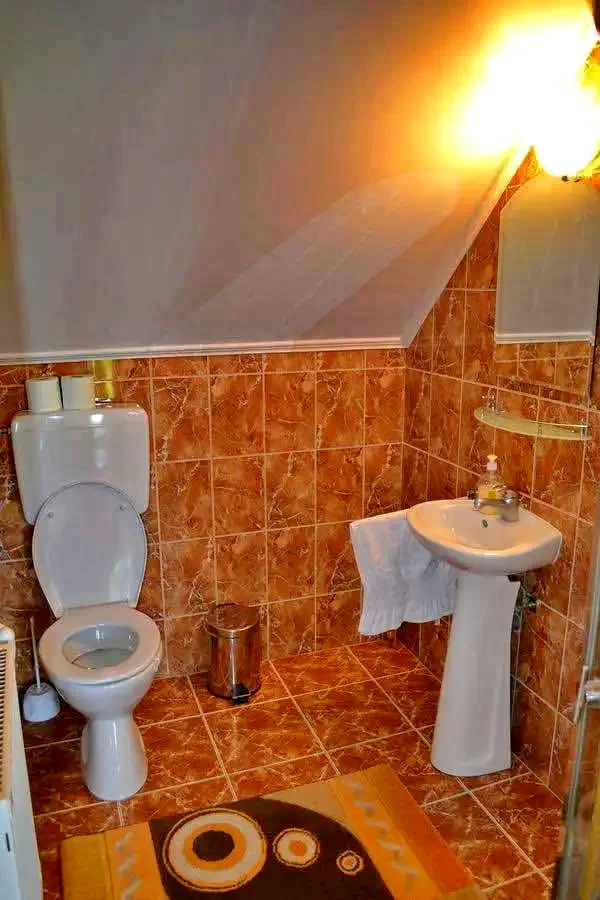 Lupeni Cazare | Motel (K0354-15) Imaginea poate fi supusă drepturilor de autor. Se recomandă contactarea titularului drepturilor.