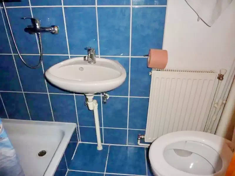 Izvoare Cazare | Sat de vacanță (K0401-36) Imaginea poate fi supusă drepturilor de autor. Se recomandă contactarea titularului drepturilor.