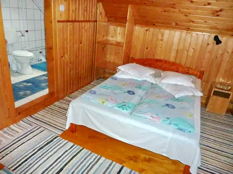 Izvoare Cazare | Sat de vacanță (K0401-40) Imaginea poate fi supusă drepturilor de autor. Se recomandă contactarea titularului drepturilor.