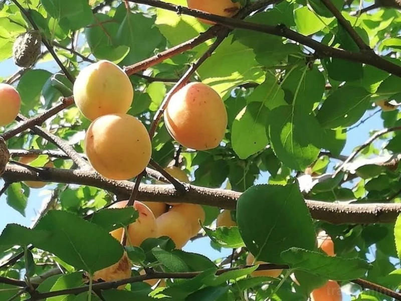 Drobeta-Turnu Severin Cazare | Motel (K0738-31) Imaginea poate fi supusă drepturilor de autor. Se recomandă contactarea titularului drepturilor.