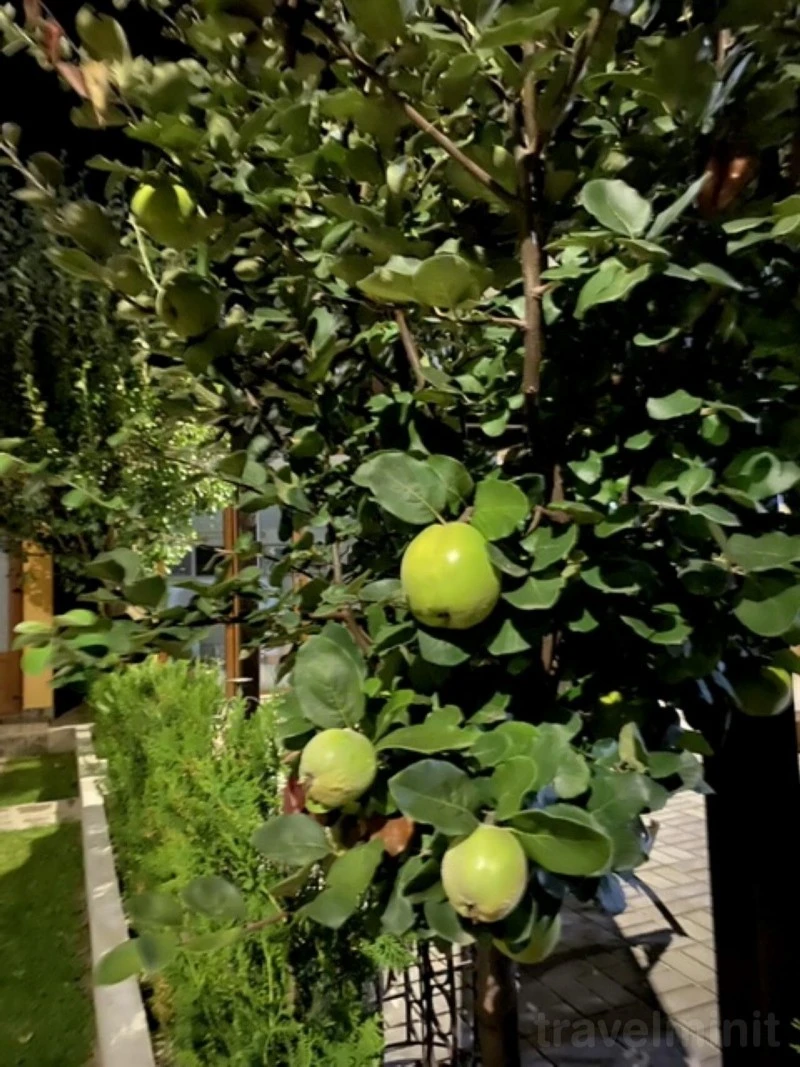 Szörényvár Szállás | Motel (K0738-44) A kép szerzői jogvédelem alatt állhat. Javasolt a kapcsolatfelvétel a jog tulajdonossal.