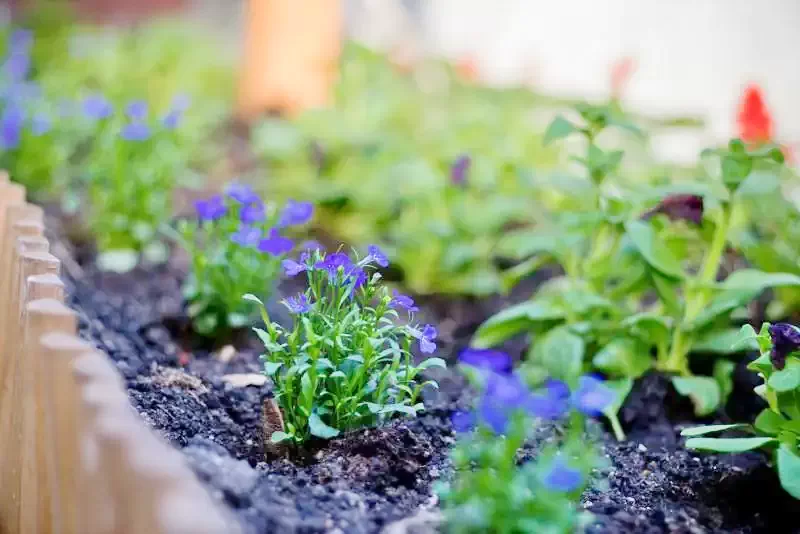 Sibiu Cazare | Motel (K0080-33) Imaginea poate fi supusă drepturilor de autor. Se recomandă contactarea titularului drepturilor.