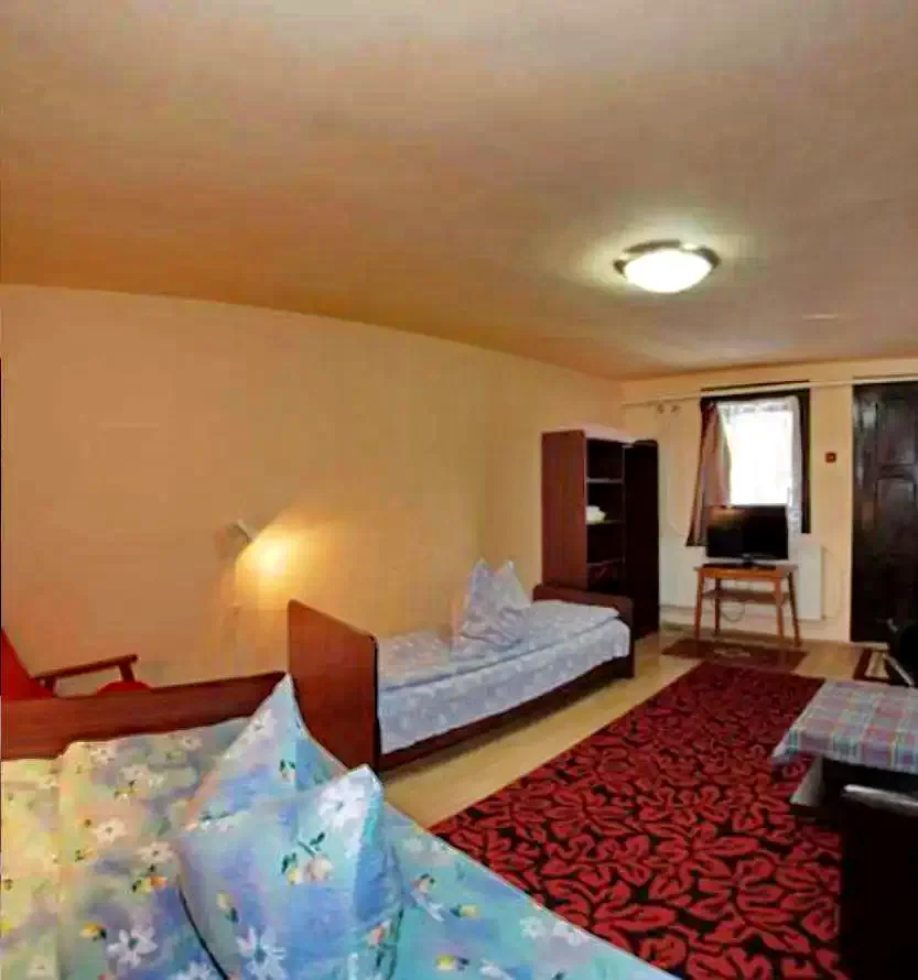 Borsec Cazare | Motel (K0048-11) Imaginea poate fi supusă drepturilor de autor. Se recomandă contactarea titularului drepturilor.