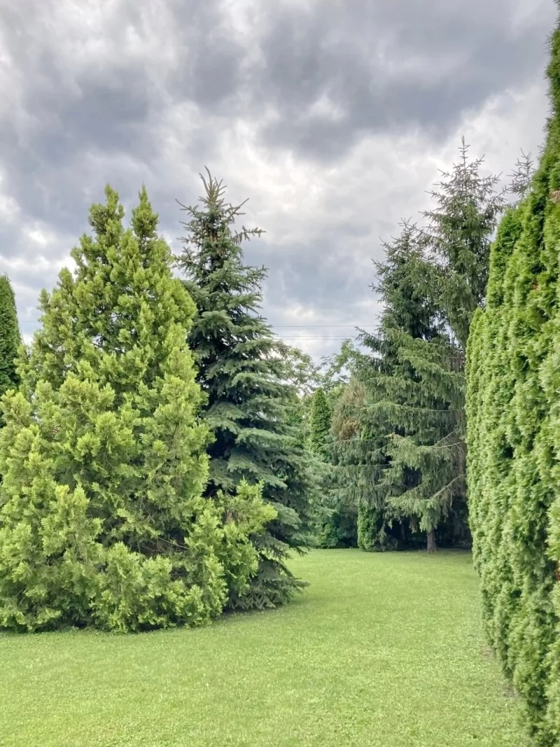 Jula Cazare | Bungalow (K0936-3) Imaginea poate fi supusă drepturilor de autor. Se recomandă contactarea titularului drepturilor.