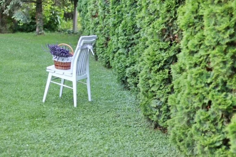 Jula Cazare | Bungalow (K0936-23) Imaginea poate fi supusă drepturilor de autor. Se recomandă contactarea titularului drepturilor.