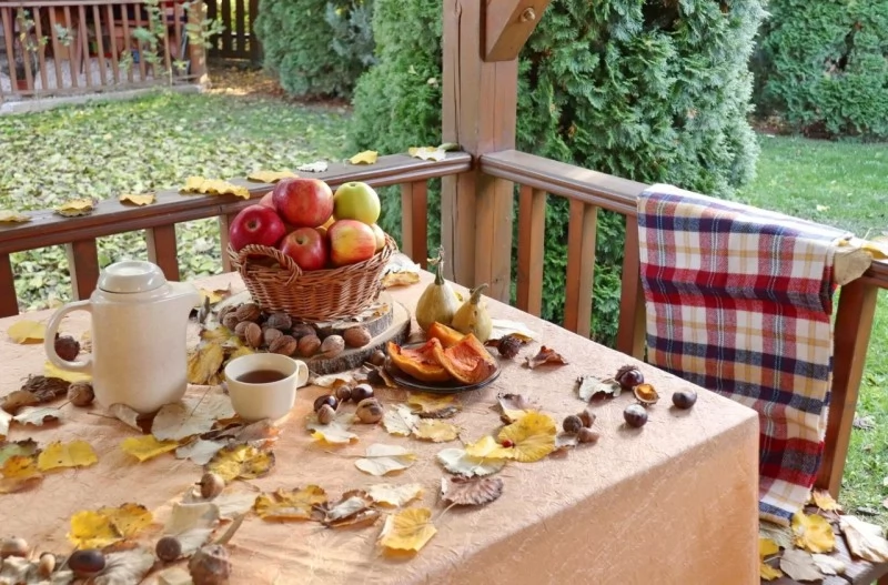 Jula Cazare | Bungalow (K0936-26) Imaginea poate fi supusă drepturilor de autor. Se recomandă contactarea titularului drepturilor.