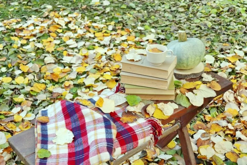 Cazare Gyula - Kozma Anna Apartman. Imaginea poate fi supusă drepturilor de autor. Se recomandă contactarea titularului drepturilor.