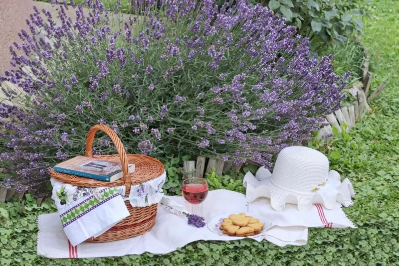 Gyula Szállás | Bungalow (K0936-29) A kép szerzői jogvédelem alatt állhat. Javasolt a kapcsolatfelvétel a jog tulajdonossal.