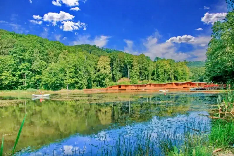 Sovata Cazare | Casă de oaspeți (K0230-33) Imaginea poate fi supusă drepturilor de autor. Se recomandă contactarea titularului drepturilor. Sovata Cazare | Casă de oaspeți (K0230-33) Imaginea poate fi supusă drepturilor de autor. Se recomandă contactarea titularului drepturilor.