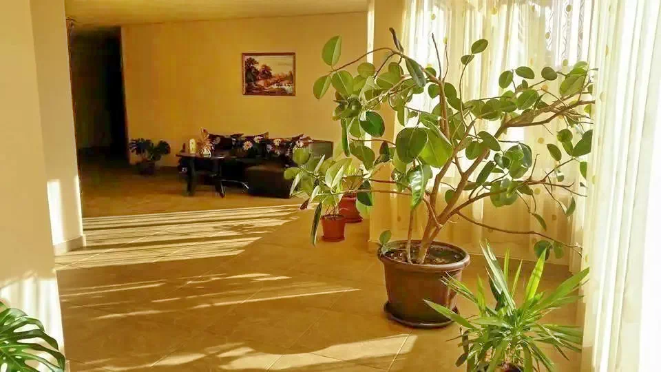 Șimleu Silvaniei Cazare | Motel (K1344-8) Imaginea poate fi supusă drepturilor de autor. Se recomandă contactarea titularului drepturilor.