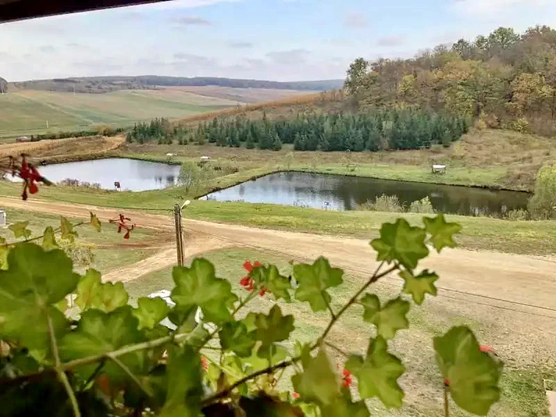 Șimleu Silvaniei Cazare | Motel (K1344-25) Imaginea poate fi supusă drepturilor de autor. Se recomandă contactarea titularului drepturilor.