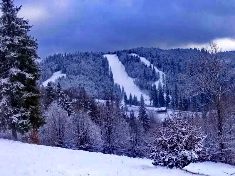 Borsec Cazare | Camping / Popas turistic (K1239-29) Imaginea poate fi supusă drepturilor de autor. Se recomandă contactarea titularului drepturilor.