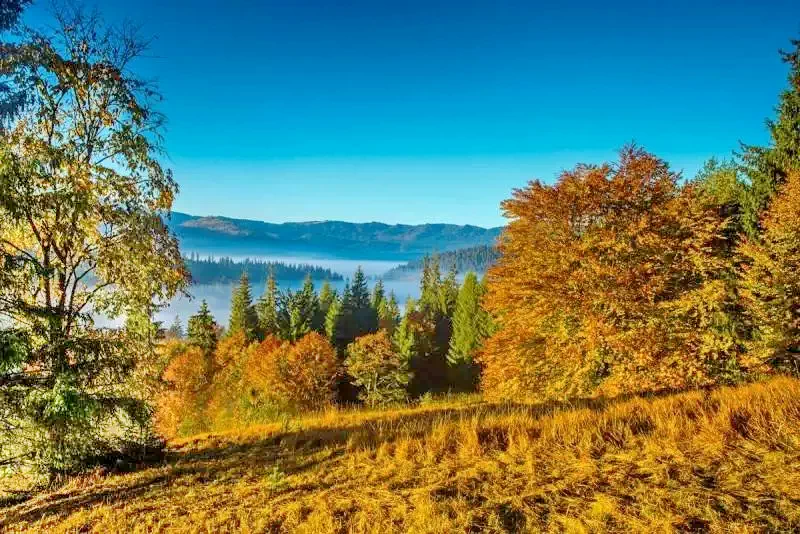 Borszék Szállás | Kemping / turistapihenő (K1239-31) A kép szerzői jogvédelem alatt állhat. Javasolt a kapcsolatfelvétel a jog tulajdonossal.